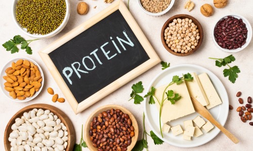 Protein diet at Core Concept